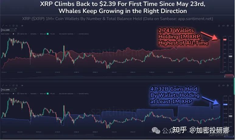 关于比特币走高势惊人，一夜飙升XRP%，加密市场沸腾的信息-九游体育下载