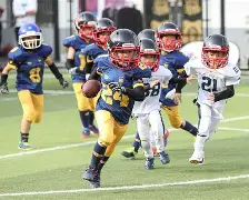 橄榄球友谊赛，南城铁骑队与燕赵海豚队强势横扫，VAR改判成焦点！防线高度稳定的简单介绍-九游体育官网