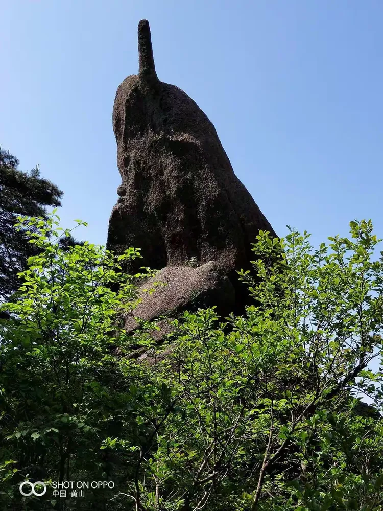 举重夜战：蓬莱飞鹰队强势横扫岭南犀牛队，速度优势明显快速转换撕裂防线的简单介绍-九游体育下载